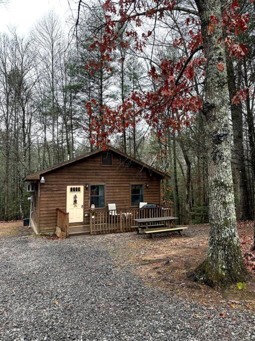 מרפי Private Cozy Cabin In The Woods With Great View מראה חיצוני תמונה