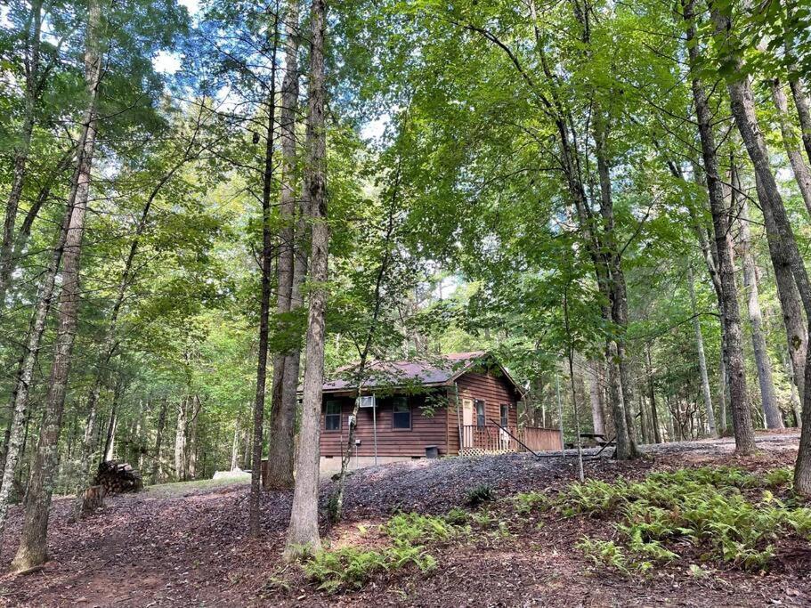מרפי Private Cozy Cabin In The Woods With Great View מראה חיצוני תמונה